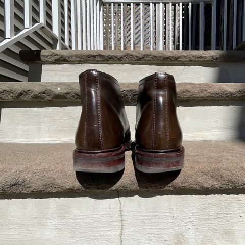 Carmina Chukka Boots 708