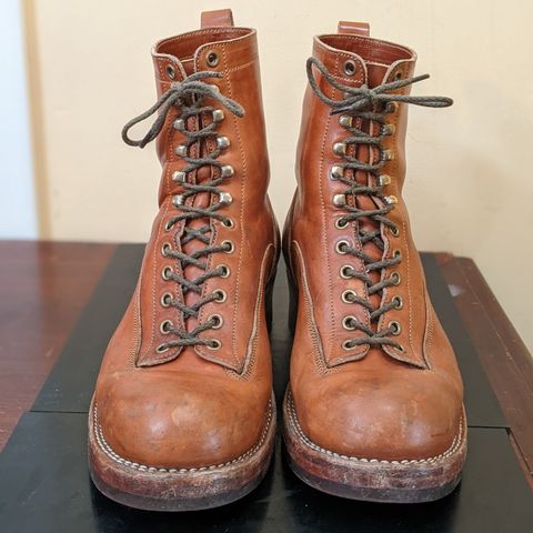 Onderhoud LCV01 Lineman Boot