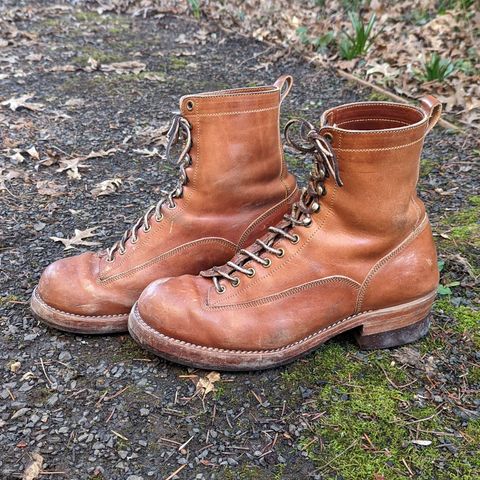 Onderhoud LCV01 Lineman Boot