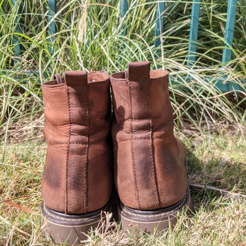Golden Fox 6" Boondocker Boots