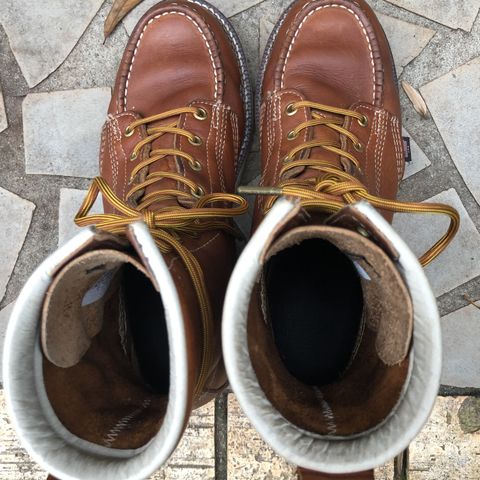 Thorogood 8" Moc Toe