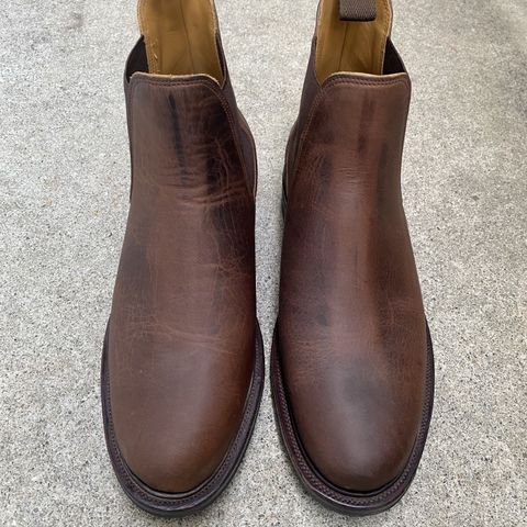 Viberg Chelsea