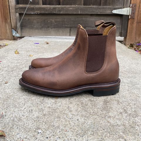 Viberg Chelsea