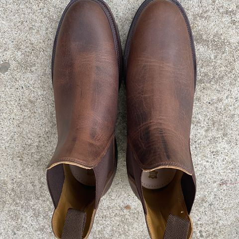Viberg Chelsea