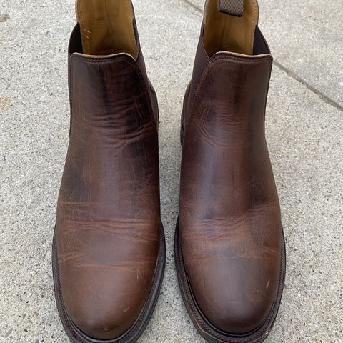Viberg Chelsea