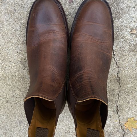 Viberg Chelsea