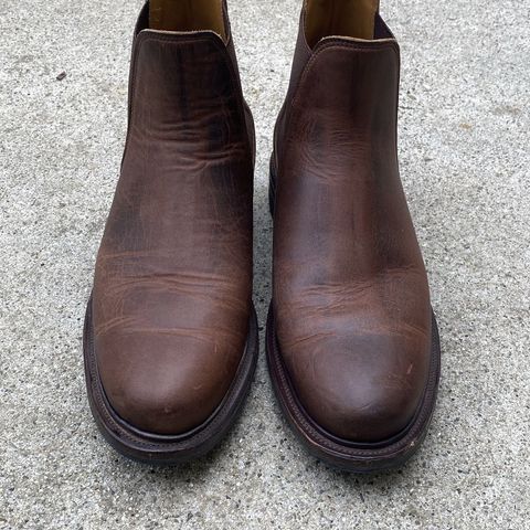 Viberg Chelsea