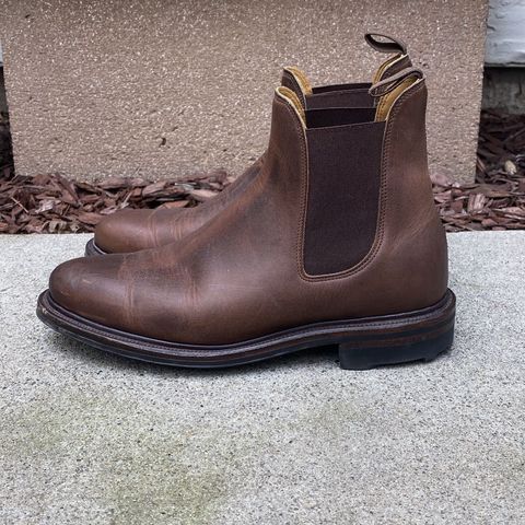 Search result thumbnail of Viberg Chelsea in Horween Rowdy Dachshund