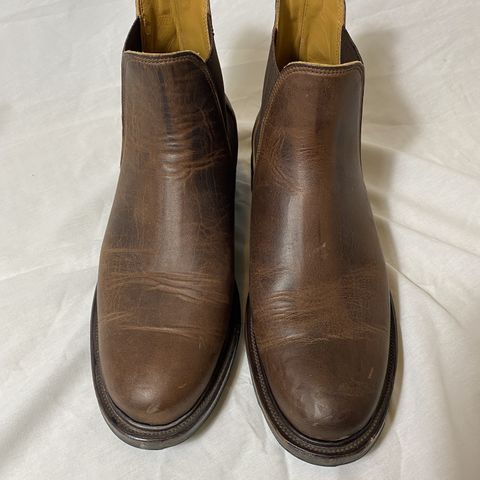 Viberg Chelsea