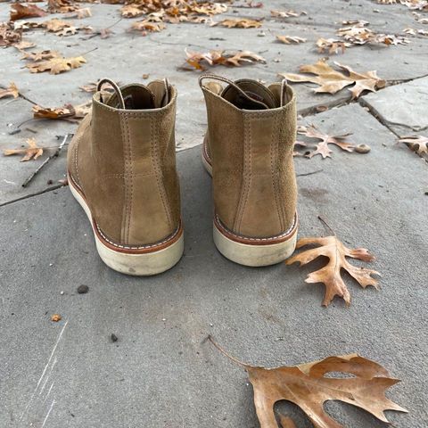 Search result thumbnail of Red Wing Work Chukka in S.B. Foot Olive Mohave Roughout