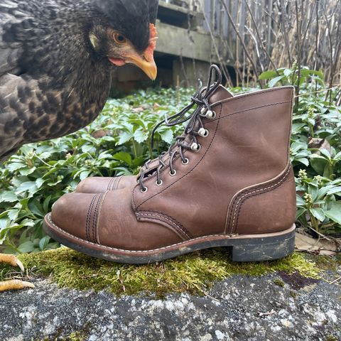 Red Wing Iron Ranger