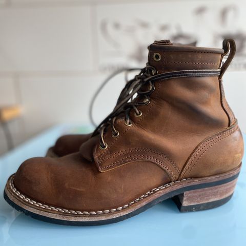 Search result thumbnail of Nicks Robert in Horween Orange Predator