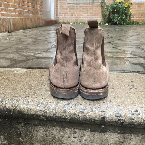Viberg Chelsea