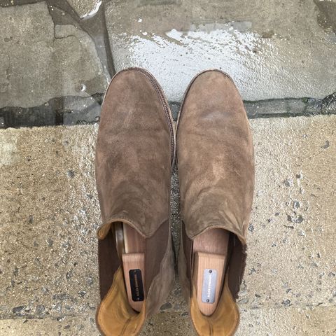 Viberg Chelsea