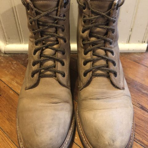 Nisolo All-Weather Amalia Boot