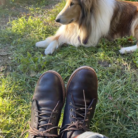 Truman Chukka
