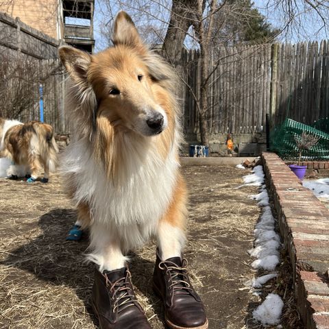 Truman Chukka
