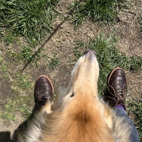 Truman Chukka
