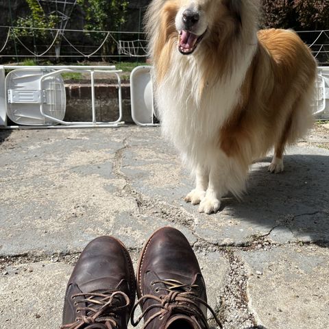 Truman Chukka