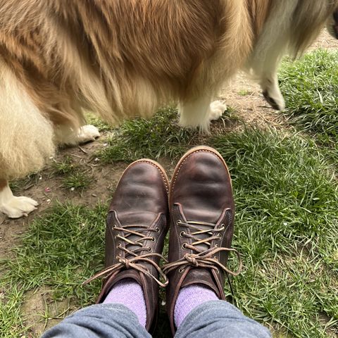 Truman Chukka
