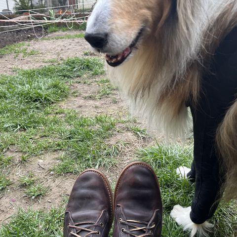 Truman Chukka
