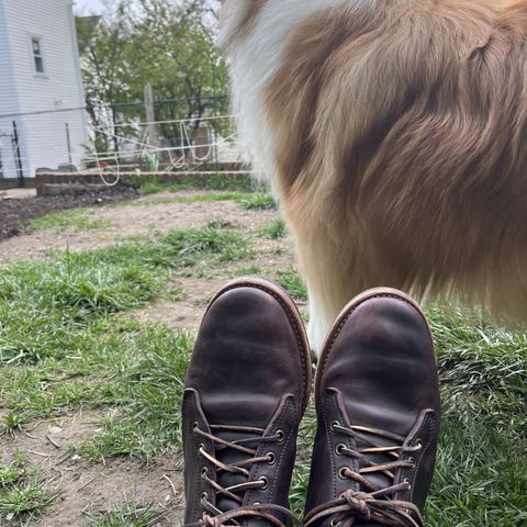 Truman Chukka