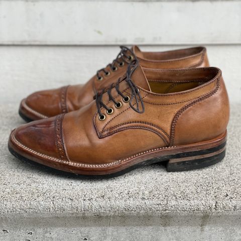 Search result thumbnail of Renav DRB - 1006 in Conceria Cloe Crust Shell Cordovan