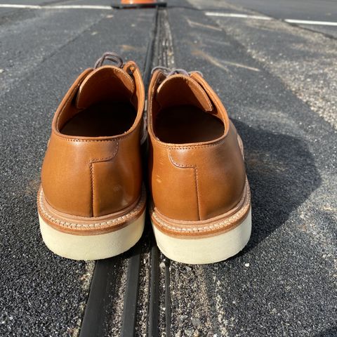 Grant Stone Plain Toe Blucher