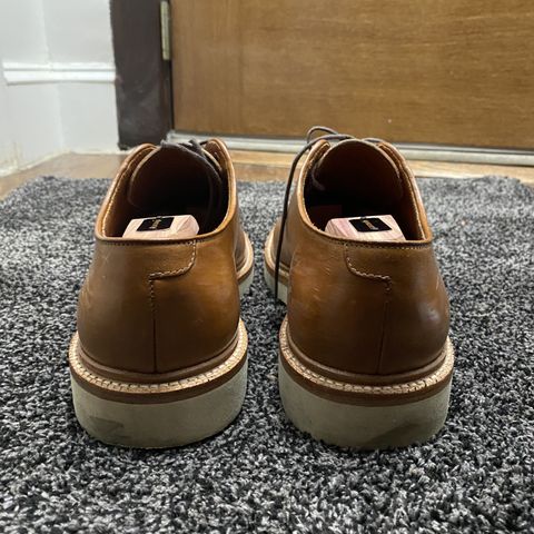 Grant Stone Plain Toe Blucher