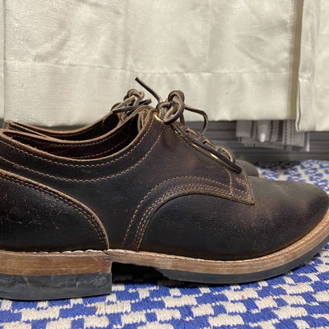 Truman Derby