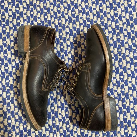 Truman Derby