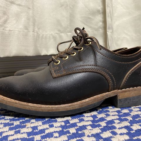 Truman Derby
