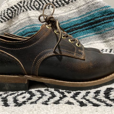 Truman Derby