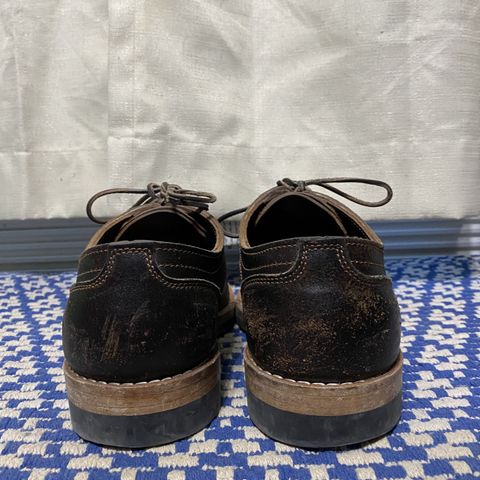 Truman Derby