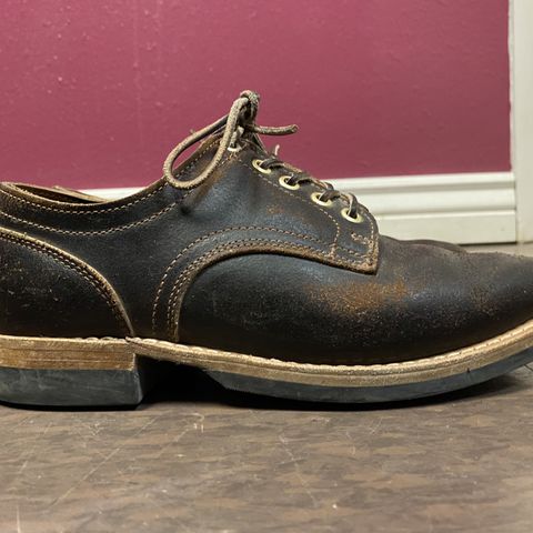 Truman Derby