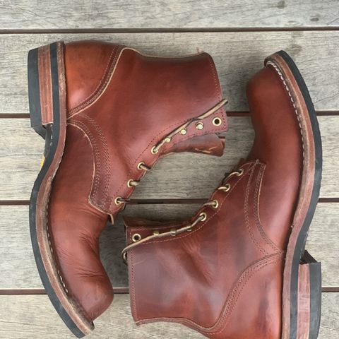 Nicks Prospector
