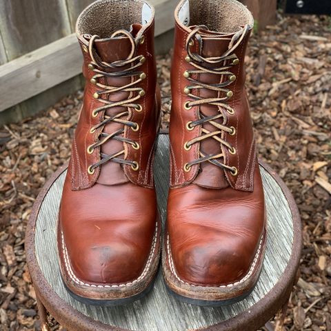 Nicks Prospector