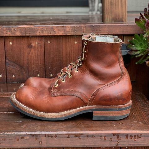 Nicks Prospector