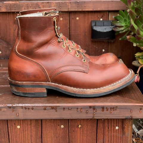 Nicks Prospector