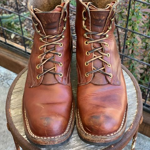 Nicks Prospector