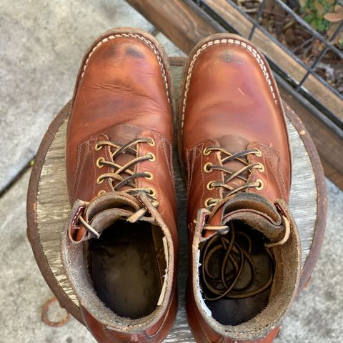 Nicks Prospector