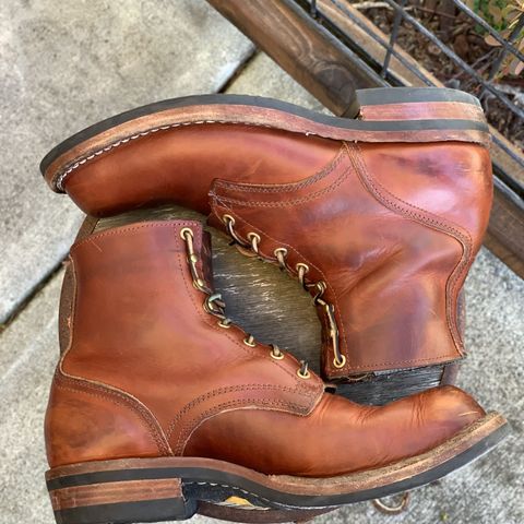 Nicks Prospector