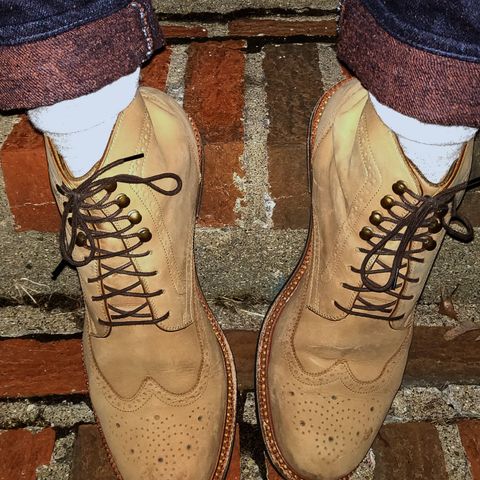 Beckett Simonon Nolan Brogue Boots
