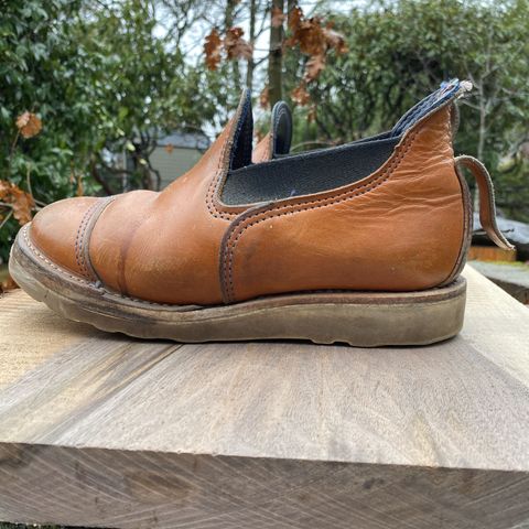 Wesco Romeo