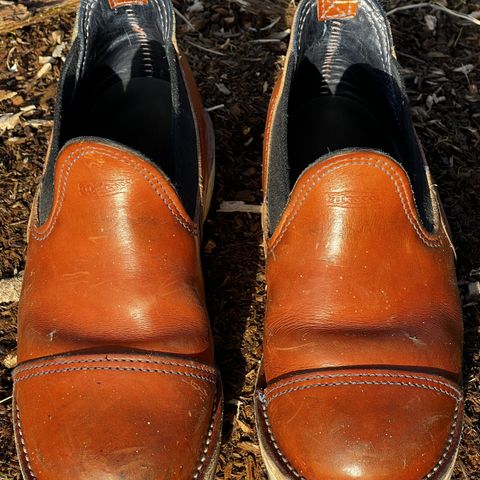 Wesco Romeo