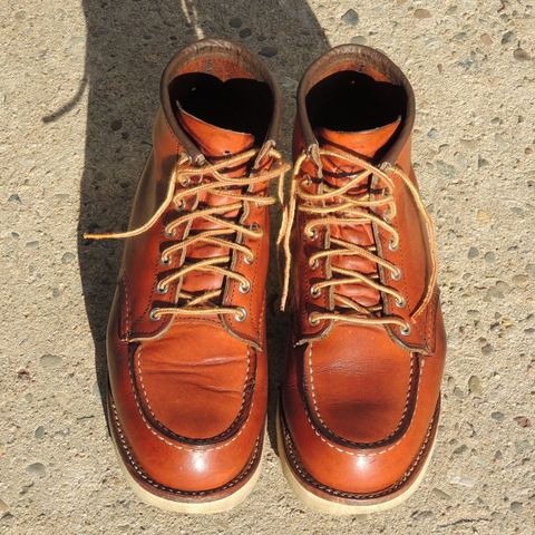 Search result thumbnail of Red Wing 6-Inch Classic Moc in S.B. Foot Oro Legacy