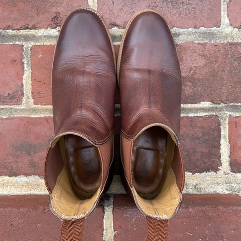 Viberg Chelsea