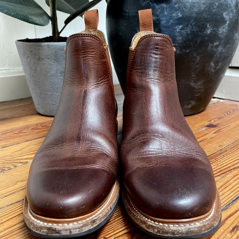 Viberg Chelsea
