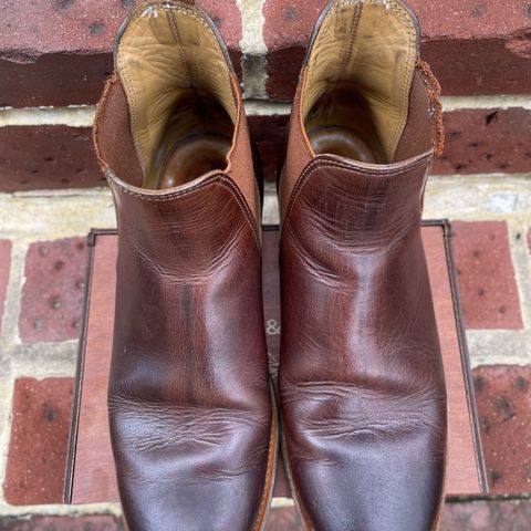 Viberg Chelsea