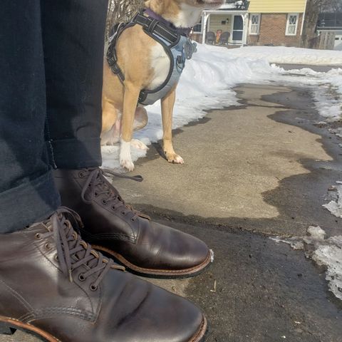 Red Wing Merchant